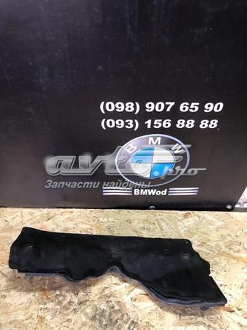 51717204334 BMW 