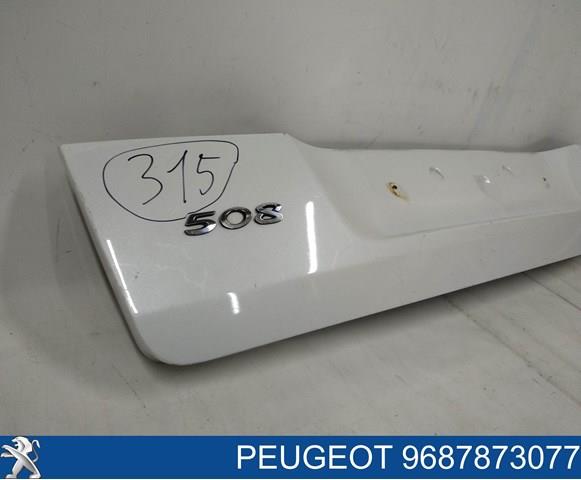  9687873077 Peugeot/Citroen