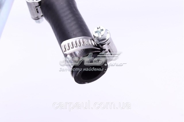 CS81578 DP Group Шланг термостата