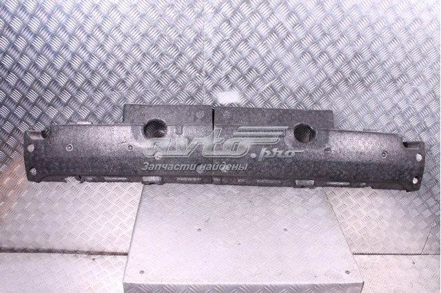  XR846171 Jaguar