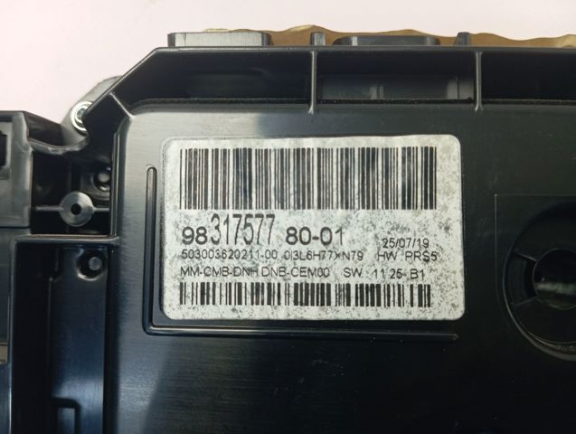  Peugeot/Citroen 9828746780