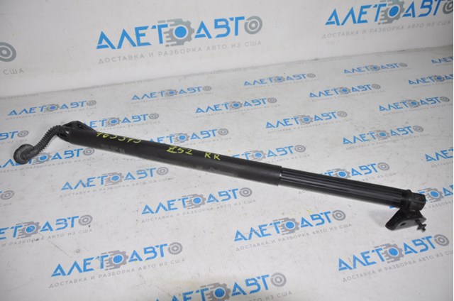 Амортизатор задней двери Nissan/Infiniti 905605AA1A цена, от 93.23 USD