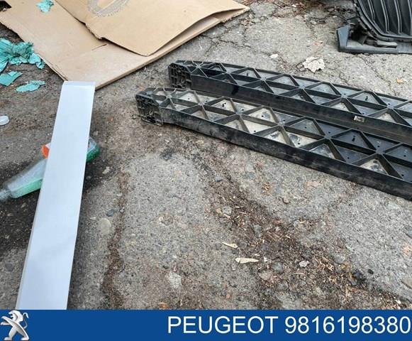 Энергопоглотитель переднего бампера Peugeot/Citroen 9816198380 цена, от 35.88 USD