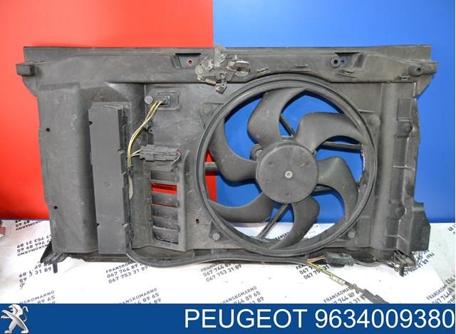  9634009380 Peugeot/Citroen
