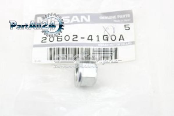  2060241G0A Nissan