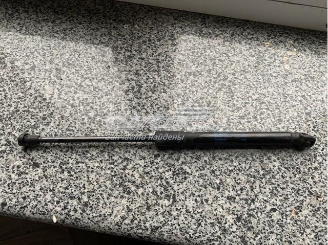 Amortecedor da capota 1T0823359D VAG