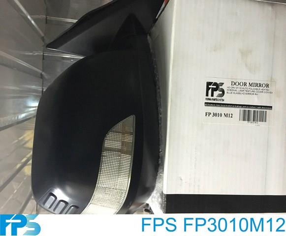Наружное зеркало правое FPS FP3010M12 цена, от 108.14 USD