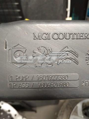 9801927380 Peugeot/Citroen 
