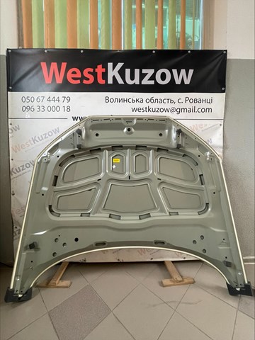 PAD20026A Signeda Капот