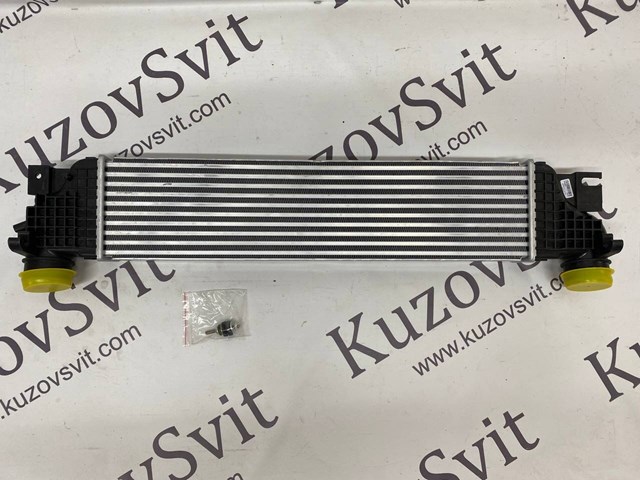 Купить RI18085 Signeda 