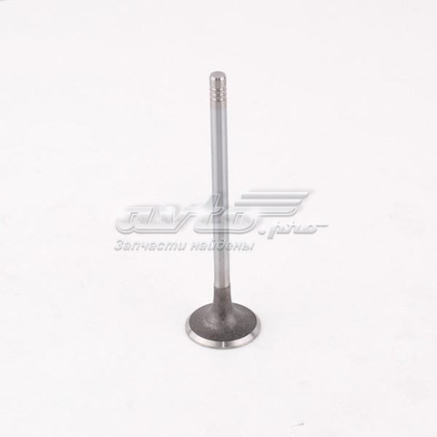Впускной клапан 473H1007011BAINF InA-For