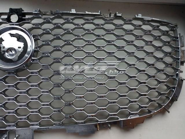 Купить T4A6211 Jaguar 