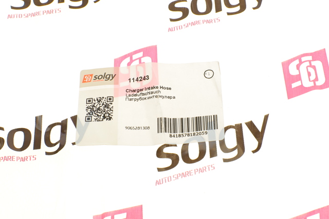  Solgy 114243