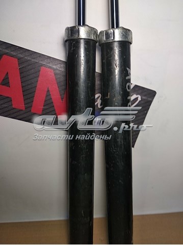 TLD368452 Starline Амортизаторы задние