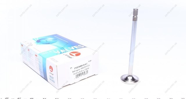 Впускной клапан PMER080B0C AMP/Paradowscy