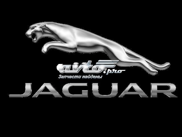 AJ812892 Jaguar 