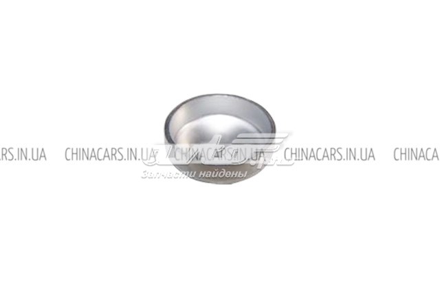Купить 4801003018 Chery Заглушка ГБЦ