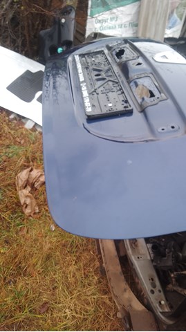 Купить 901003901R Renault (RVI) Дверь задняя багажная
