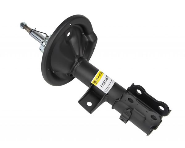 Амортизатор подвески передний левый Raiso RS313532 цена, от 36.94 USD