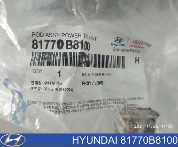 81770B8100 Hyundai/Kia 