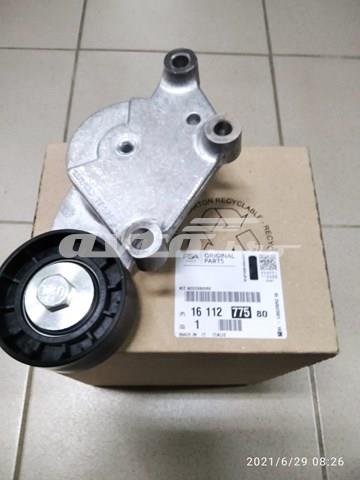 1611277580 Peugeot/Citroen correia dos conjuntos de transmissão, kit