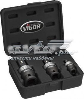  V5505 Vignal