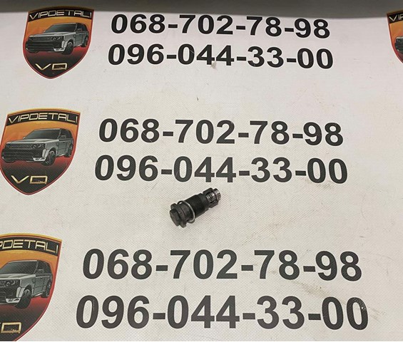 JDE38696 Jaguar Натяжитель цепи ГРМ