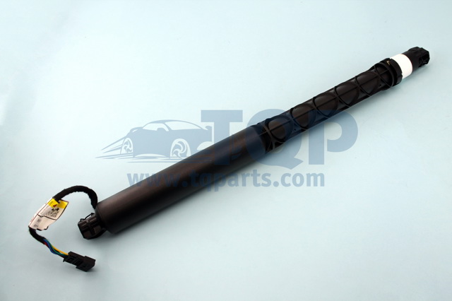 Амортизатор задней двери NTY AEBM126 цена, от 88.68 USD