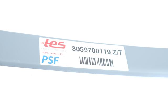 3059700119ZT TES Лист рессоры задней