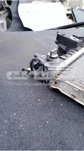 DG938005 Ford Радиатор основной
