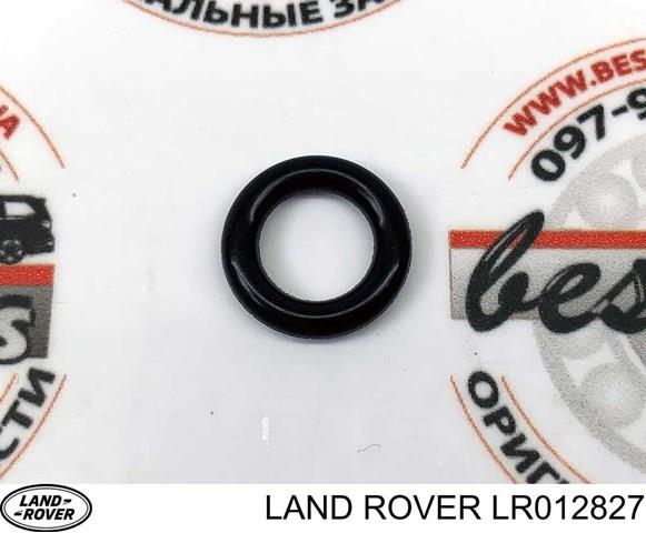 Уплотнительное кольцо форсунок  Britpart LR012827