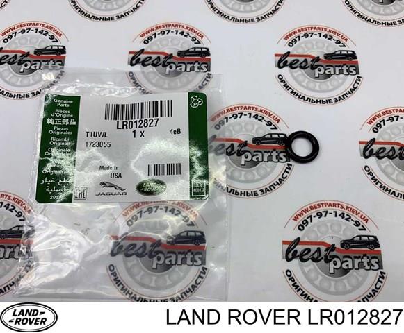 LR012827 Britpart Кольцо форсунки инжектора посадочное