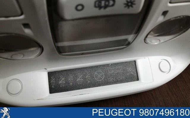  Peugeot/Citroen 9807496180