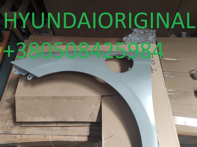 Крыло левое Hyundai/Kia 66310G7000