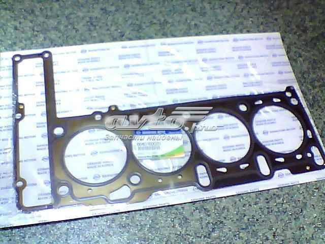 Vedante de cabeça de motor (CBC) Ssang Yong 6640160020