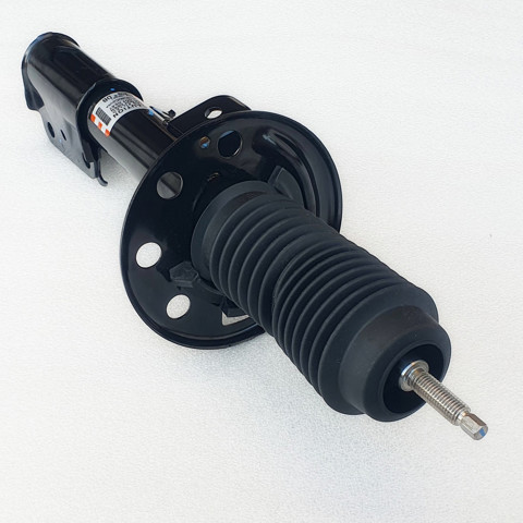 Амортизатор передней подвески левой Ford AST84816 цена, от 59.13 USD