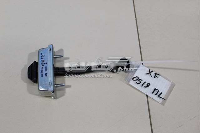  T2H4668 Jaguar