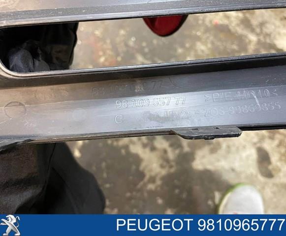 Заглушка (решетка) противотуманных фар бампера переднего левая 9810965777 Peugeot/Citroen