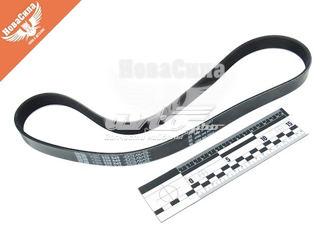 6PK923 Dayco ремень агрегатов приводной