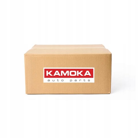 Сажевый фильтр системы отработавших газов Kamoka 8010021