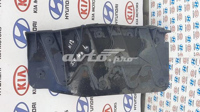  Hyundai/Kia 291302W001