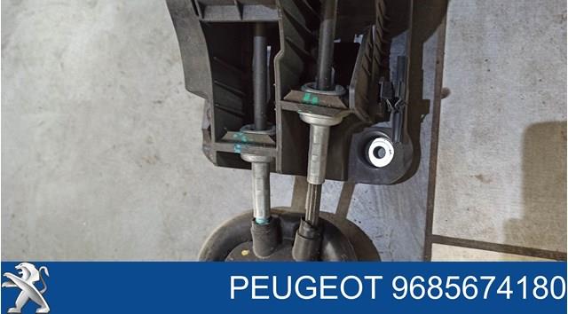  9685674180 Peugeot/Citroen