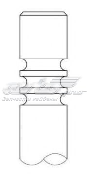 2135.009 Intervalves válvula de admissão