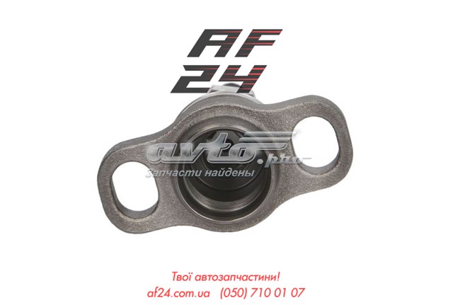 Купить 2418455196 Bosch Плунжерная пара ТНВД