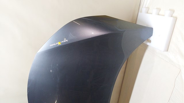 Капот F510M5MPMB Nissan/Infiniti