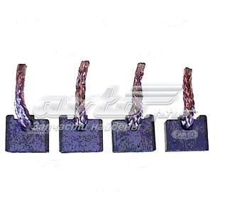 Escova do motor de arranco BSX1591604 Cargo