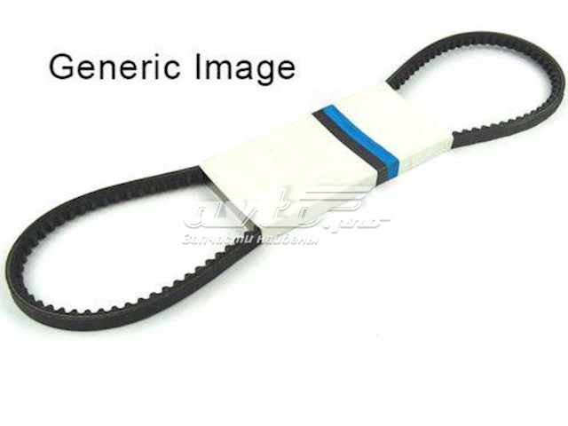 Compre 13X925 Continental/Siemens Correia dos conjuntos de transmissão