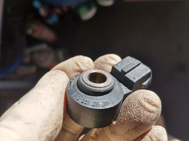  Bosch 0261231208