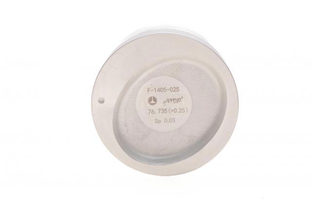 Поршень в сборе AMP/Paradowscy PXCHE4F1405025