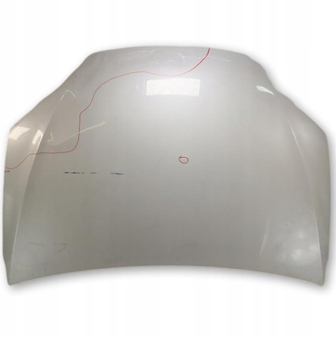 1069531E0B Tesla Капот